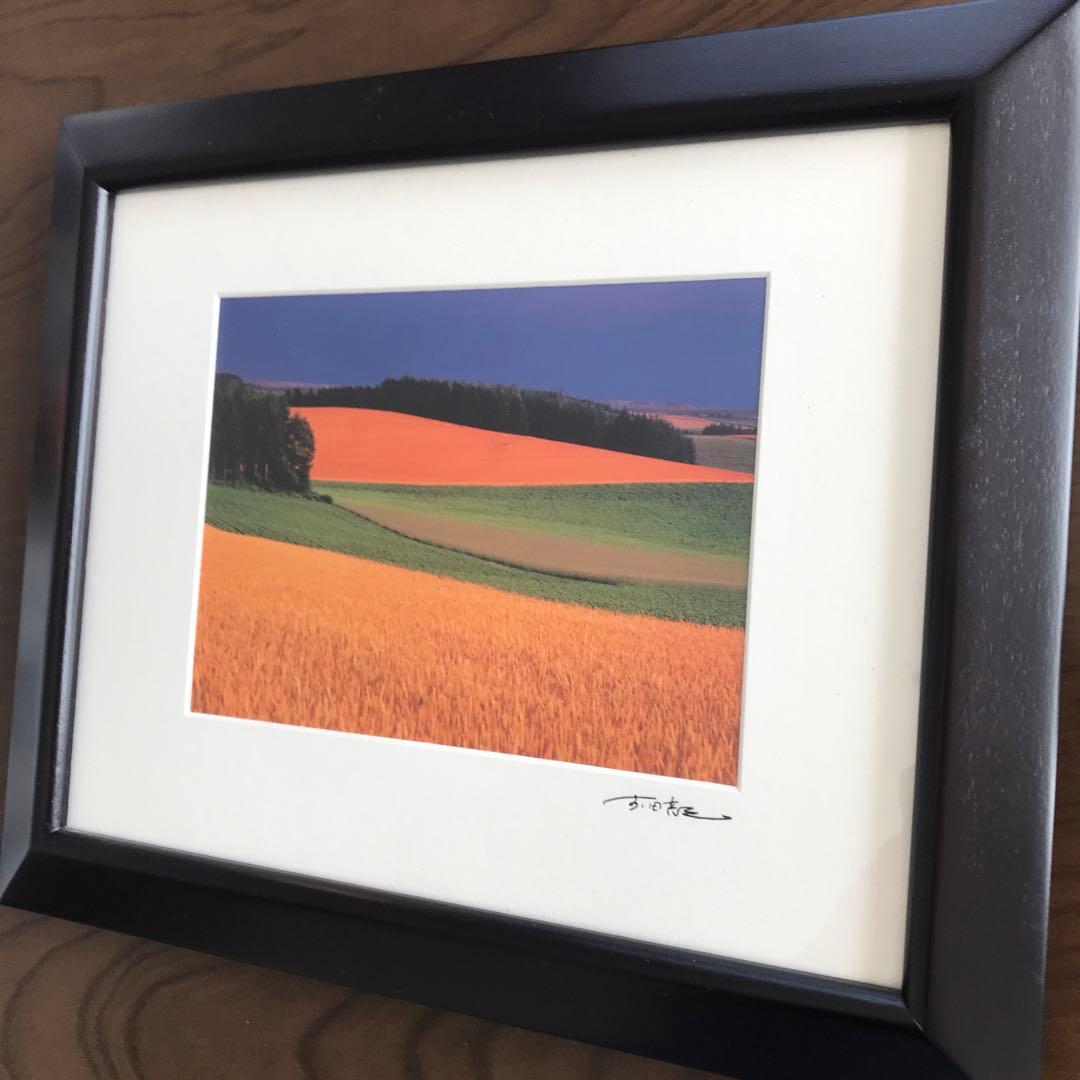 前田真三 額入り写真 拓真舘 麦秋の丘 美瑛町 北海道