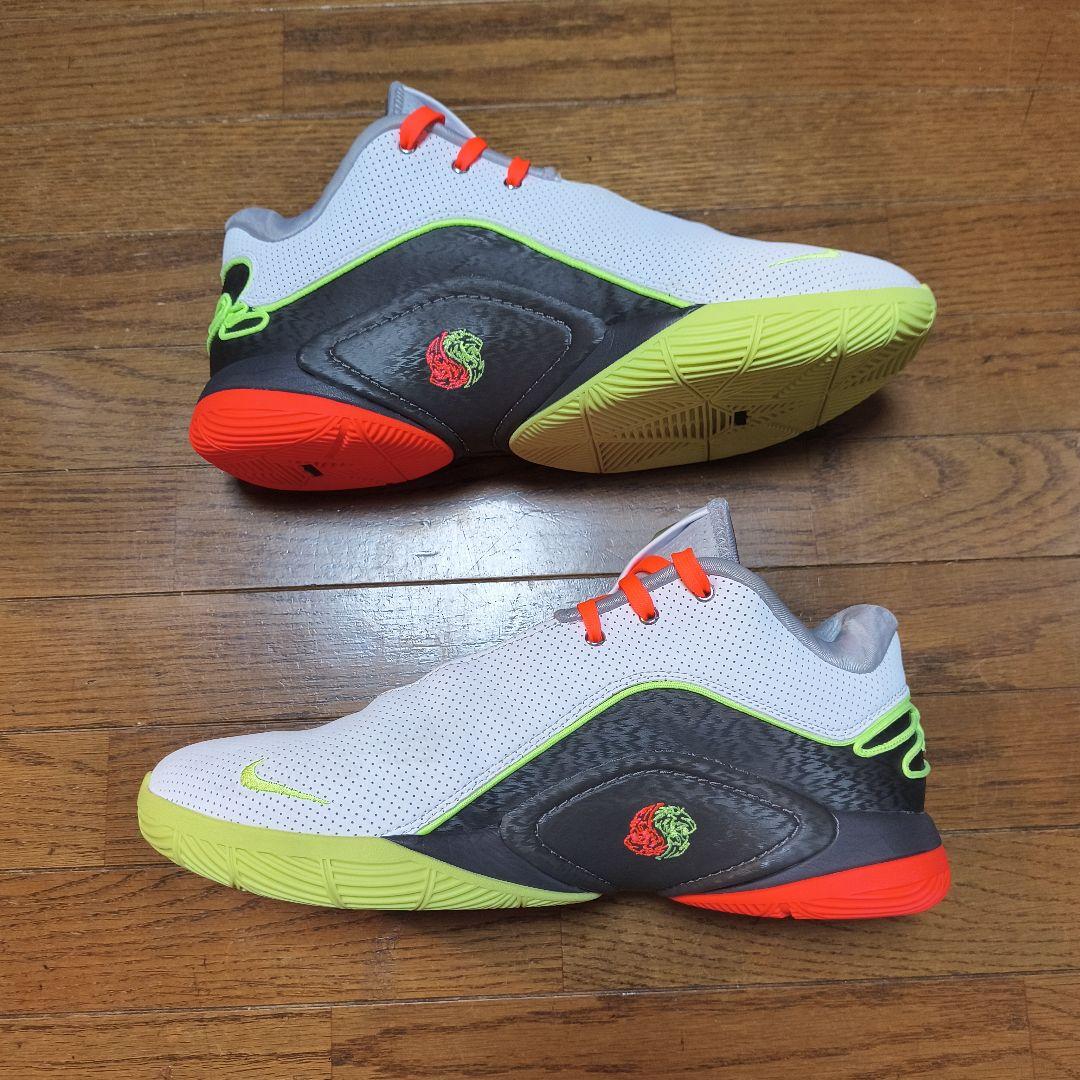 シューズ(男性用) LEBRON22 29cm