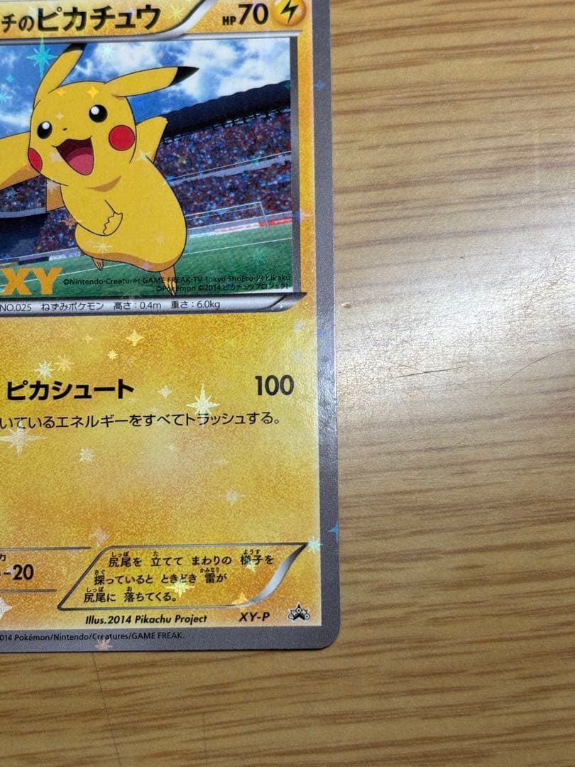 XY-P ピッチのピカチュウ_Jリーグ「ファミリー Joinデイズ」 笑顔版 …