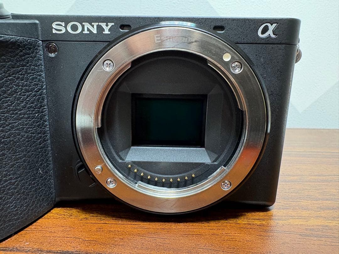 SONY α6600 E 15mm F1.4 Gレンズセット