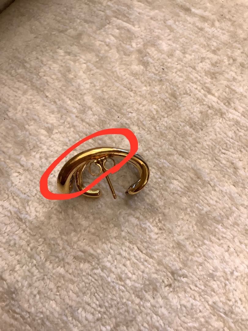 人気⭐︎Charlotte Chesnaisシャルロットシェネ ⭐︎ピアス