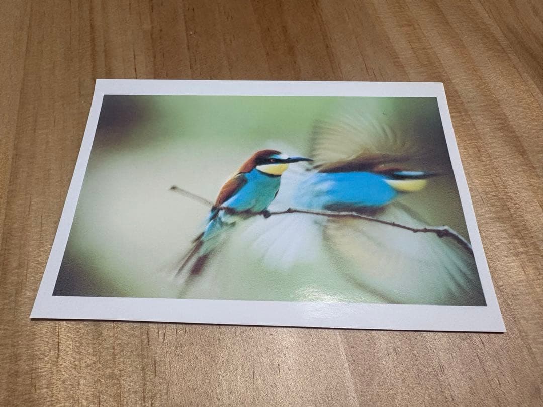 EPSON PX-G930 カラリオプロセレクション A4顔料8色 プリンタ