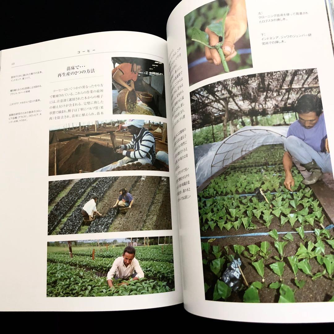 コーヒー専門書「Coffee : 多様性の祝祭」日本スペシャリティコーヒー協会