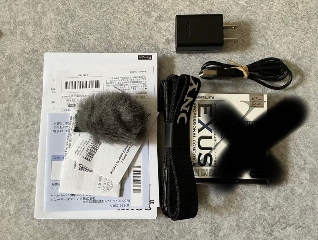 Sony ZV-E10 ミラーレスカメラ 本体　レンズ付き　33f1.4AF