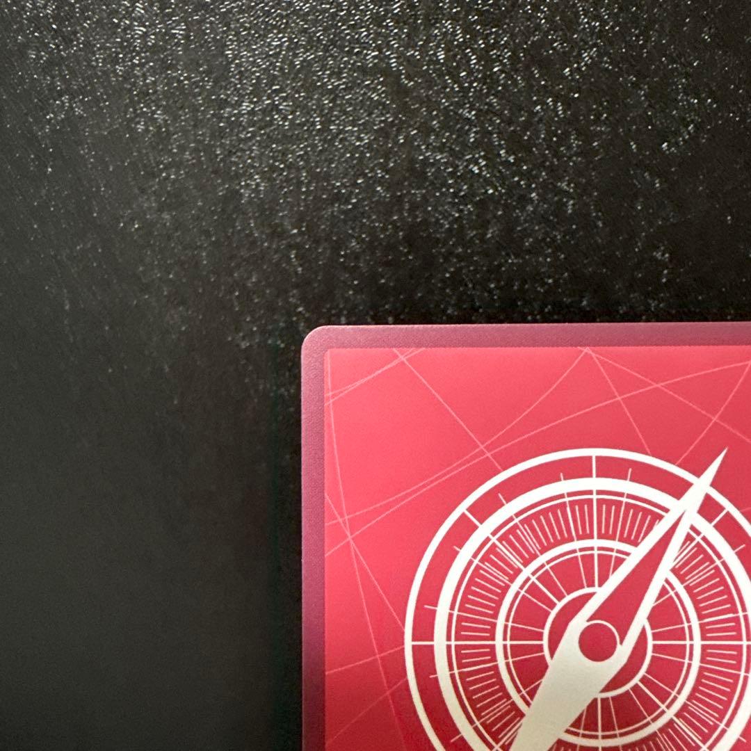 ゾロ リーダーパラレル