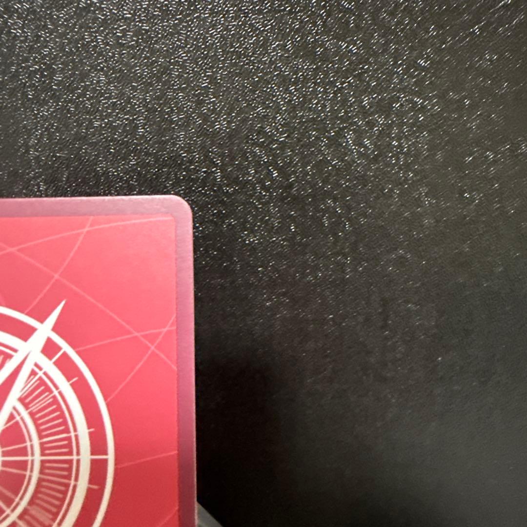 ゾロ リーダーパラレル