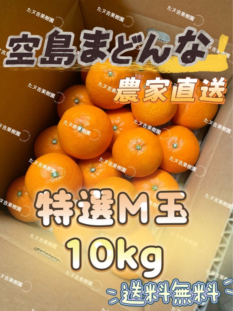 愛媛県産!!愛果28号(特選M玉10キロ) 空島まどんな