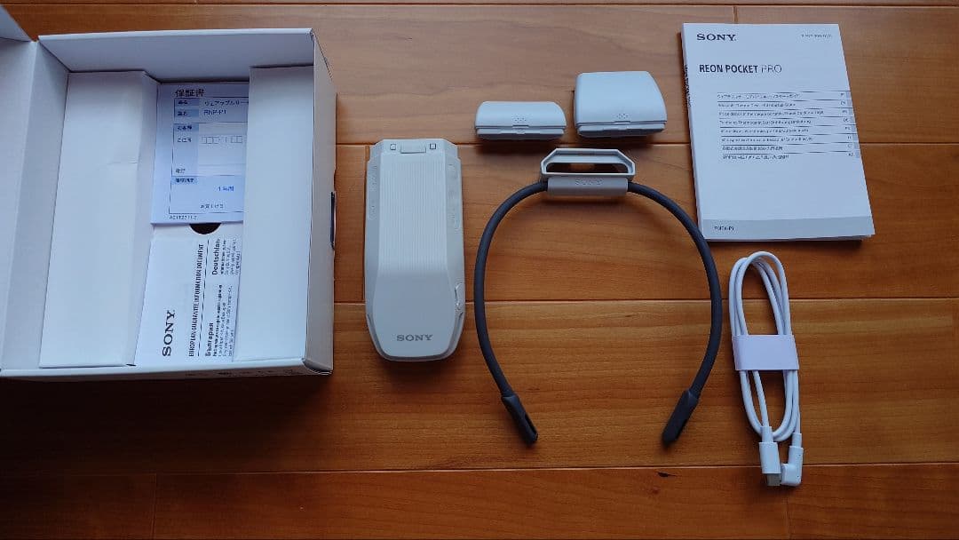 REON POCKET PRO　レオンポケットプロ