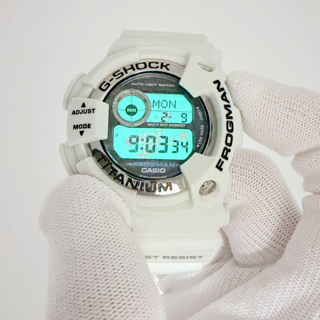 希少 CASIO G-SHOCK フロッグマン DW-9900 ホワイト チタン