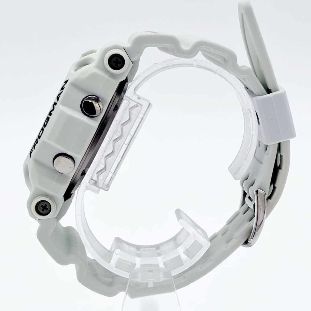 希少 CASIO G-SHOCK フロッグマン DW-9900 ホワイト チタン