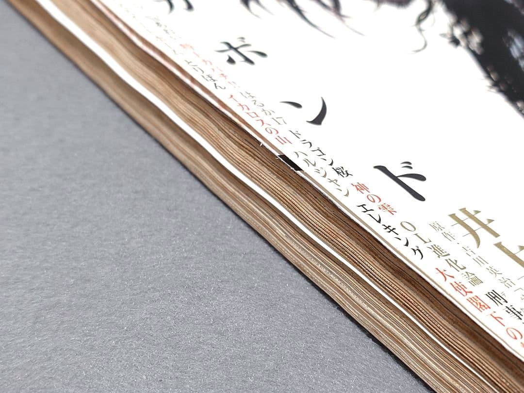 モーニング2006年5・6合併号バガボンド表紙&巻頭カラー/#198/井上雄彦