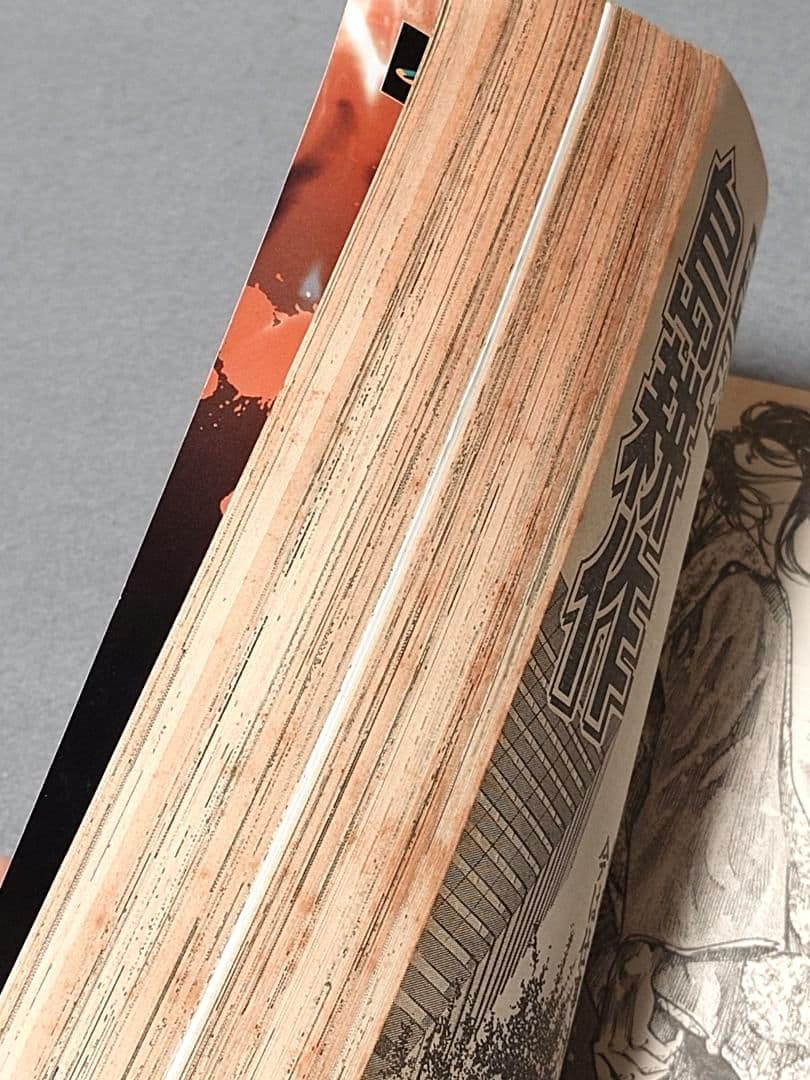 モーニング2006年5・6合併号バガボンド表紙&巻頭カラー/#198/井上雄彦