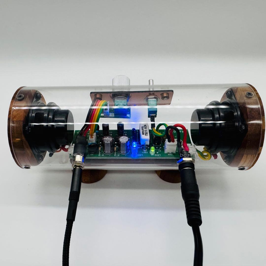 希少 M'S System SK0815 波動スピーカー スケルトン