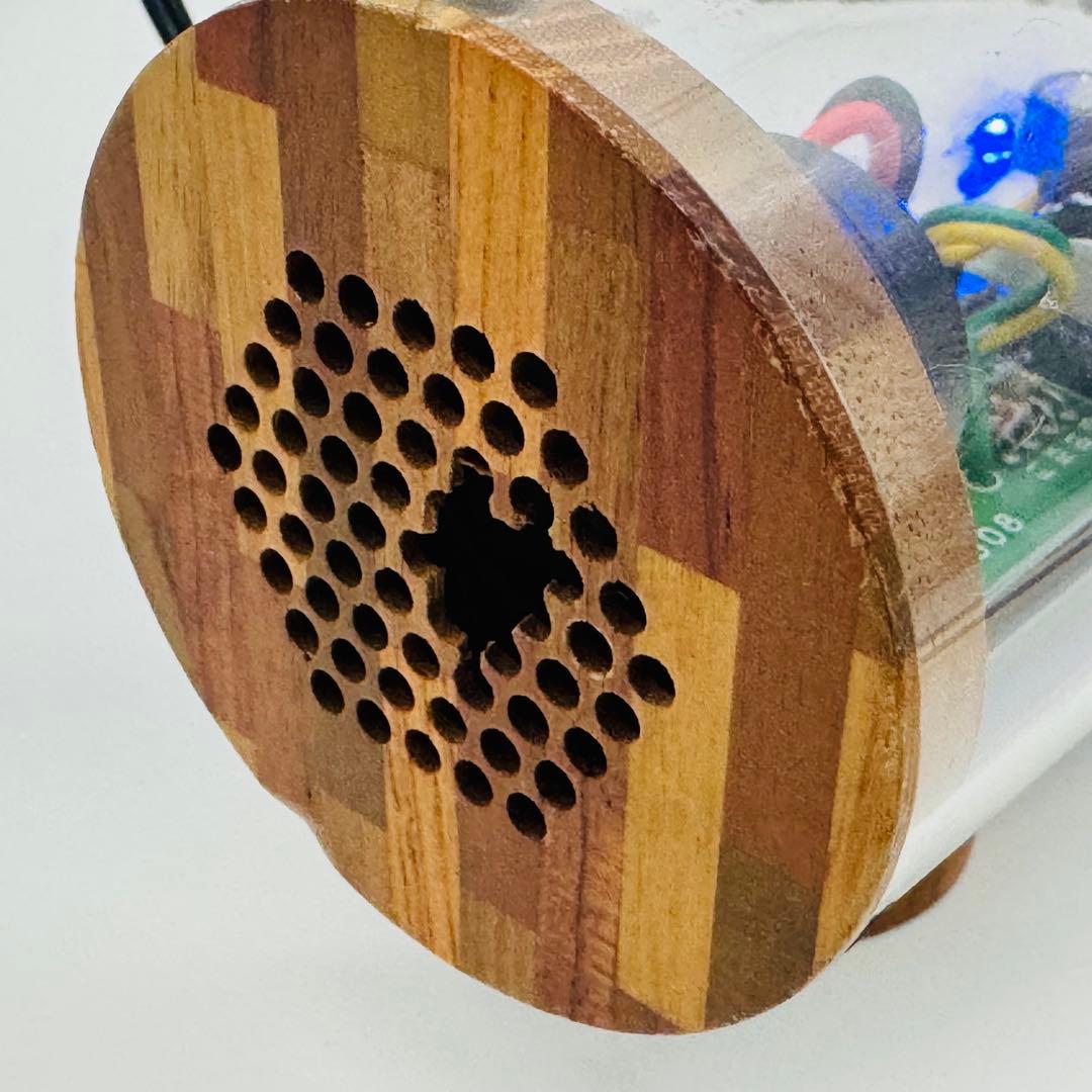 希少 M'S System SK0815 波動スピーカー スケルトン