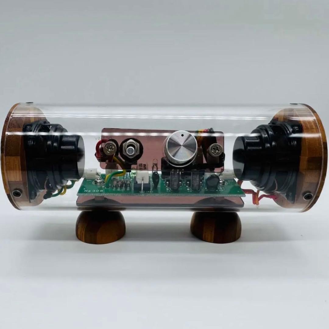 希少 M'S System SK0815 波動スピーカー スケルトン