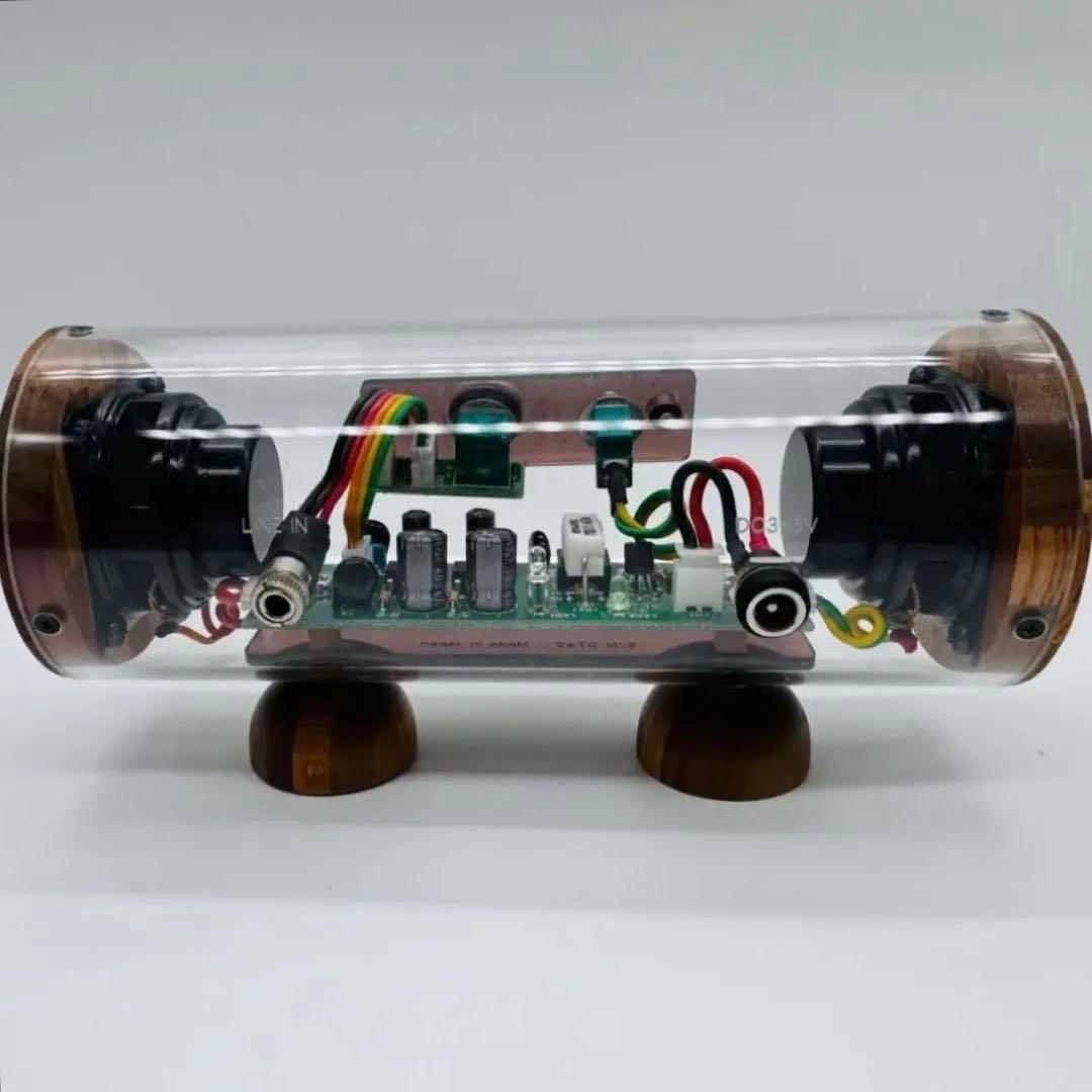 希少 M'S System SK0815 波動スピーカー スケルトン