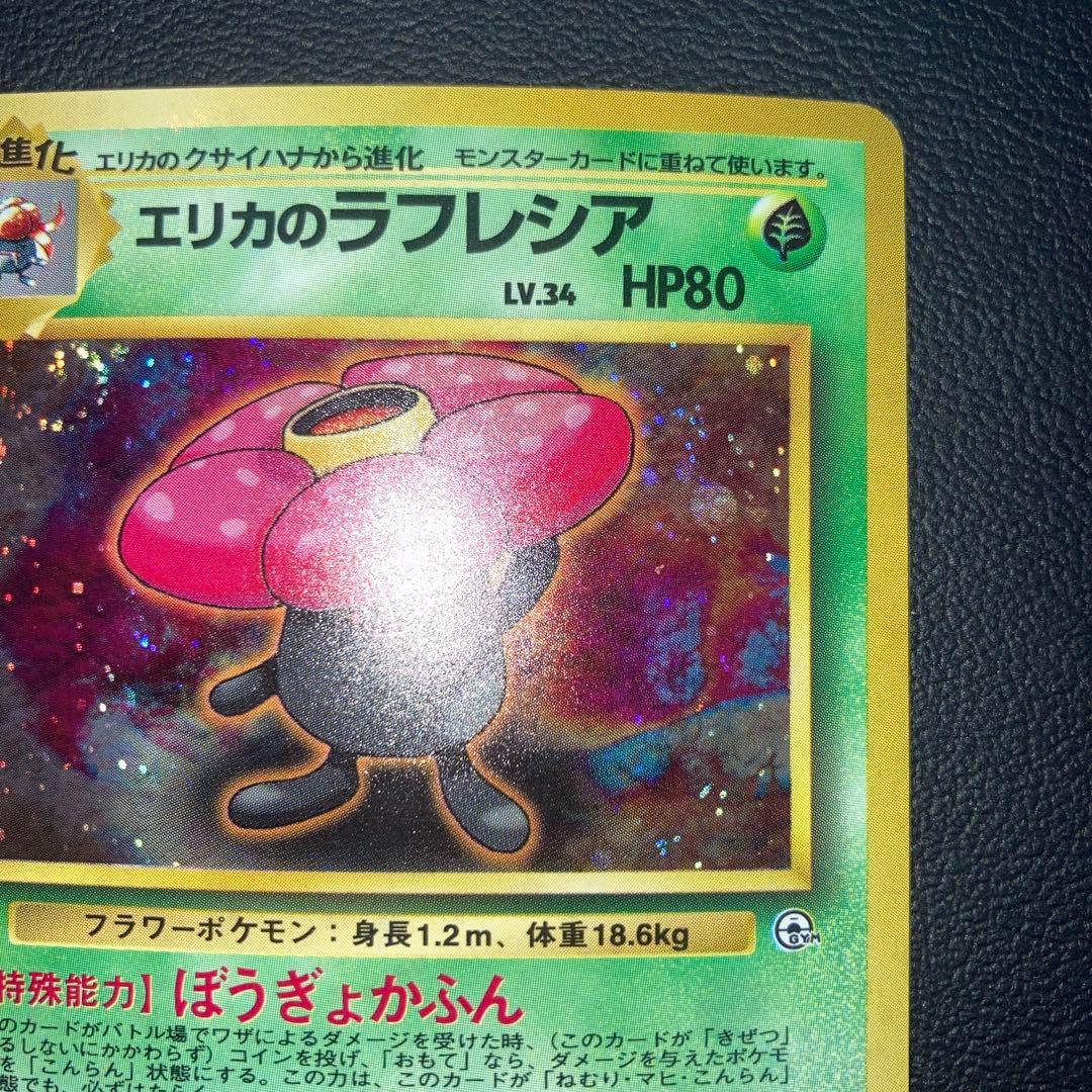 極美品　旧裏　わるいラフレシア　旧裏　キラ　ホロ　渦巻き