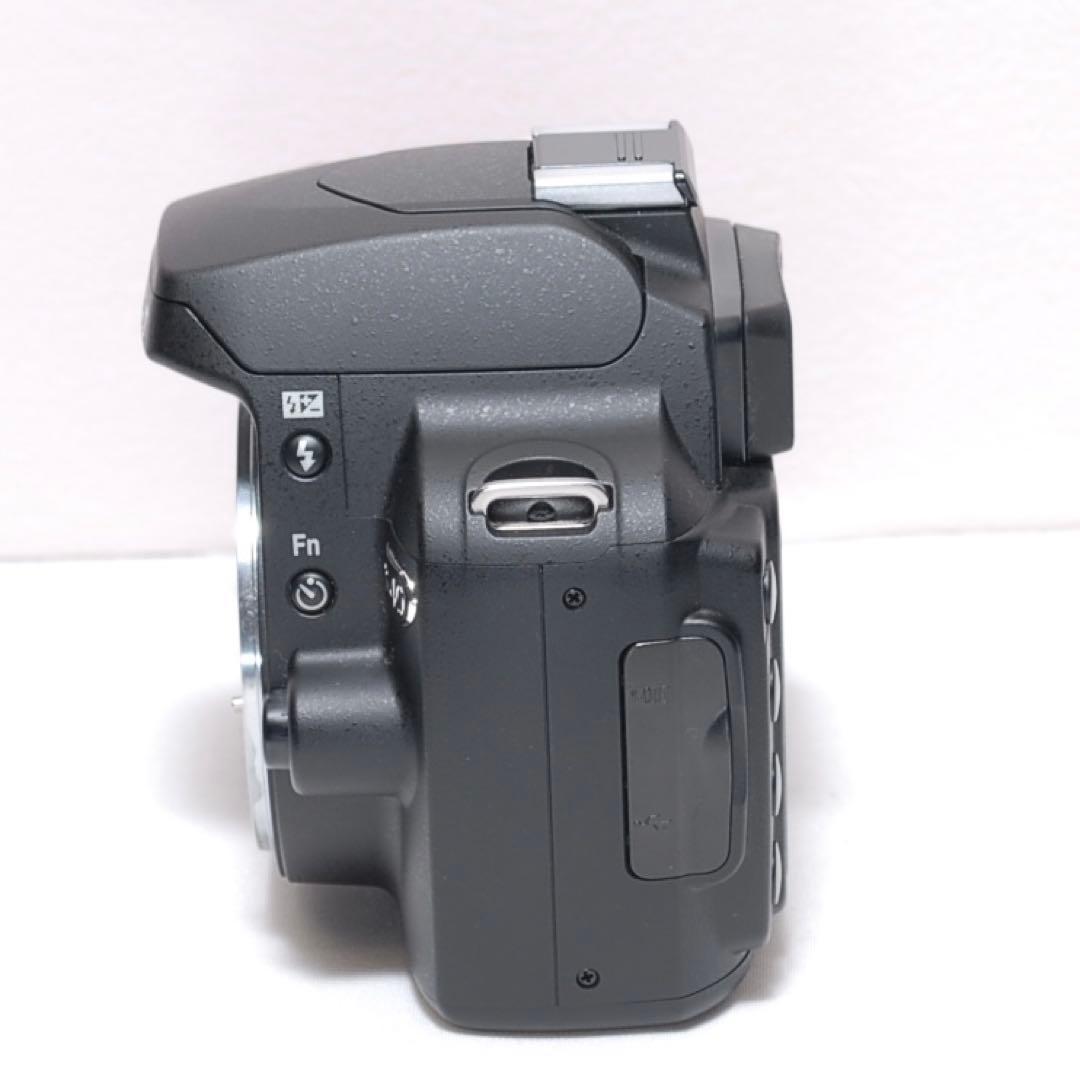 ✨シャッター数僅か728回✨Nikon D40✨シングルレンズ✨入門モデル✨