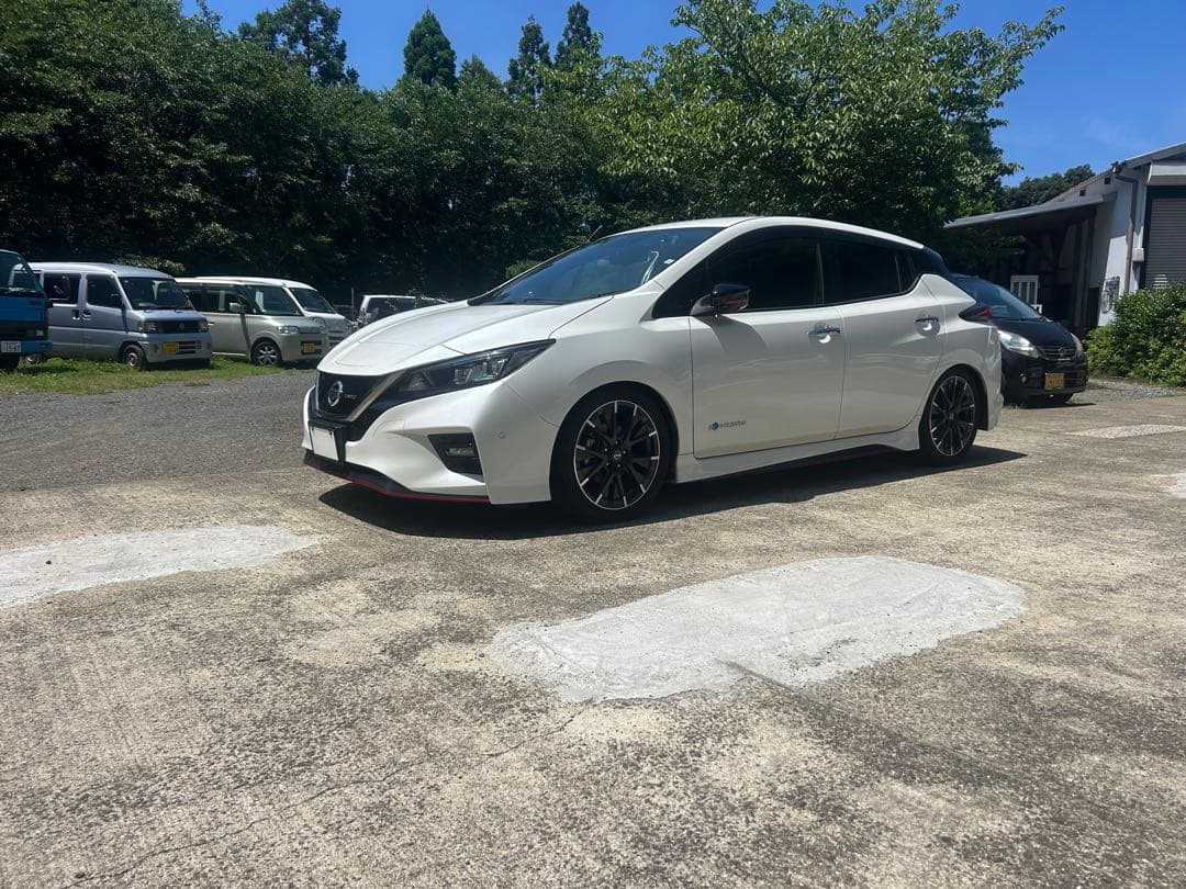 ZE1 AZE0　日産 リーフ　BLITZ DAMPER ZZR　車高調