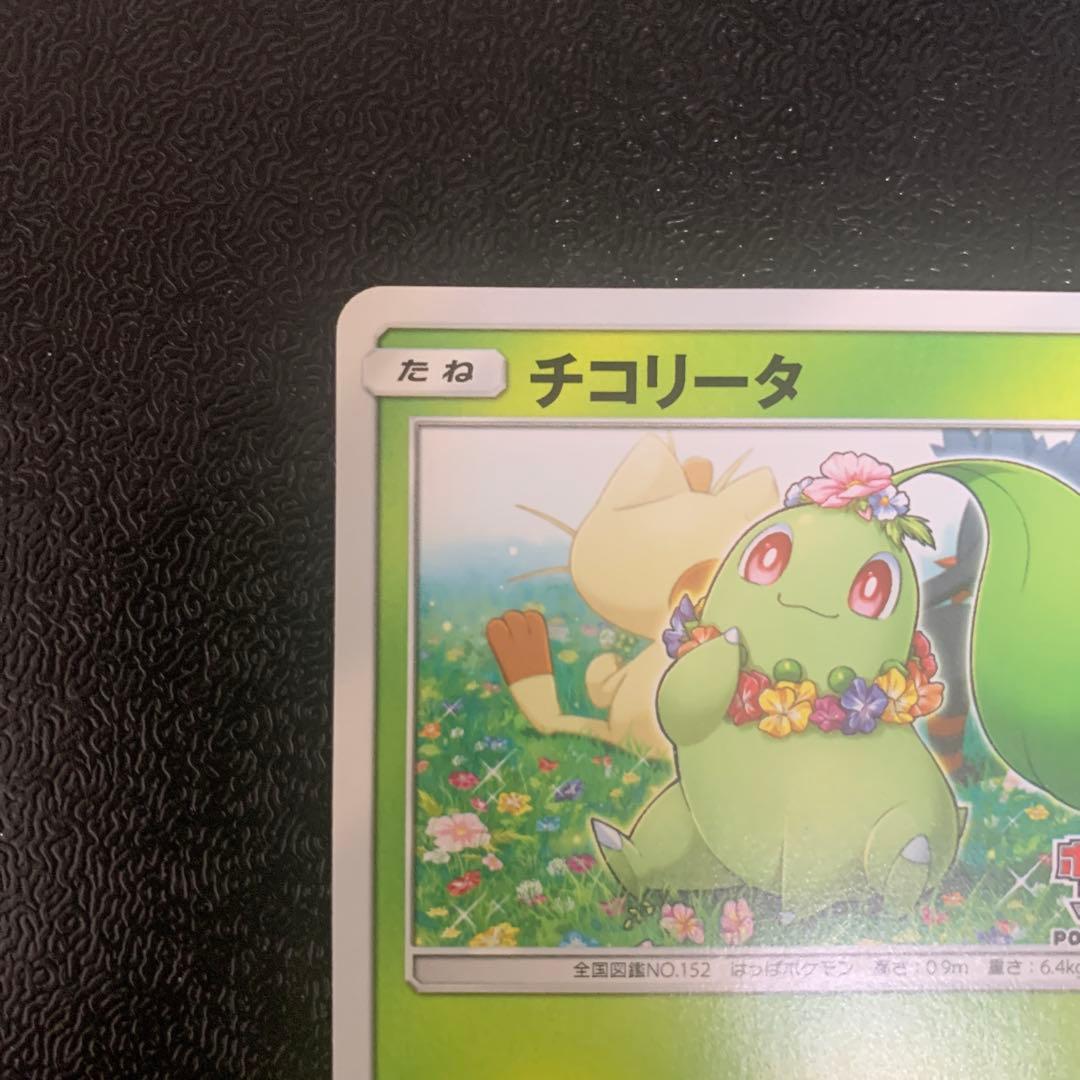 ポケモンカードステーション チコリータ