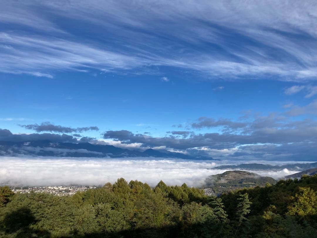 令和7年魚沼産コシヒカリ 白米10kg