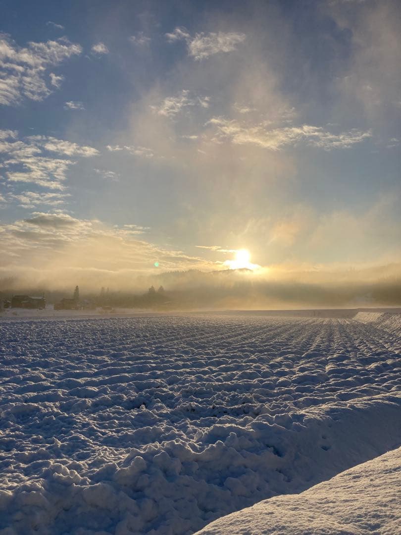 令和7年魚沼産コシヒカリ 白米10kg