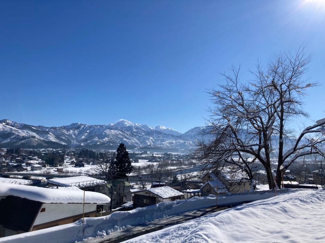 令和7年魚沼産コシヒカリ 白米10kg