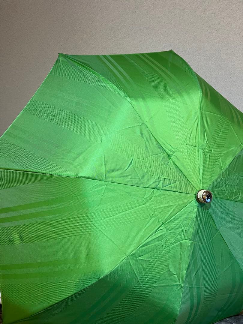 Francesco Magni 折りたたみ傘 緑