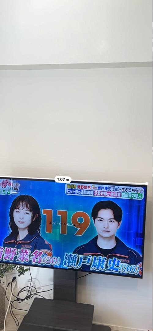 LG有機ELテレビ 大画面 木製スタンド付き　48インチ