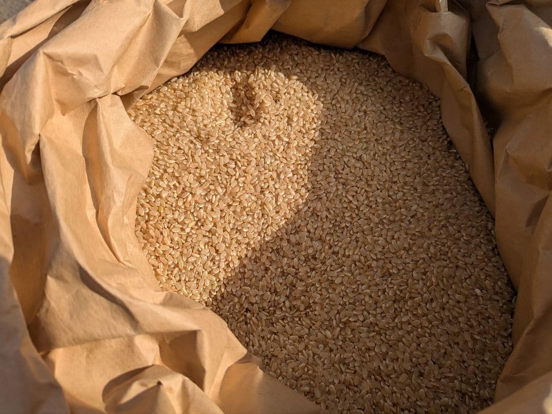 微生物自然栽培　ヒノヒカリ 10㎏　 7年産　玄米　兵庫県産