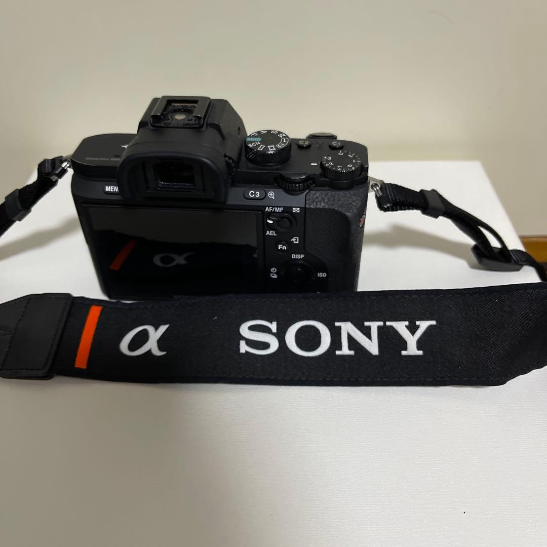 SONY α7Ⅱ( ILCE-7M2 )/ SONY FE 85mm F1.8