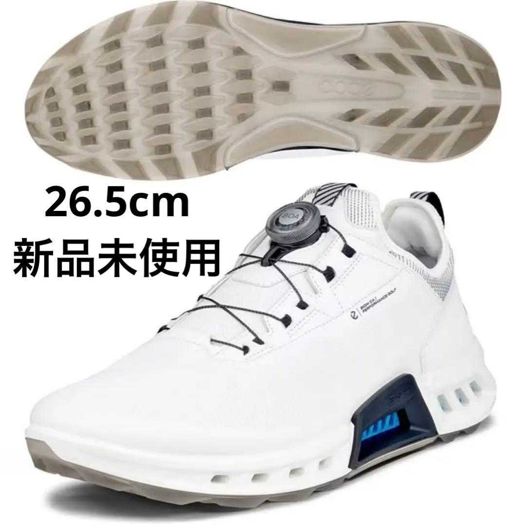 エコー ECCO BIOM C4 BOA GTX 新品未使用
