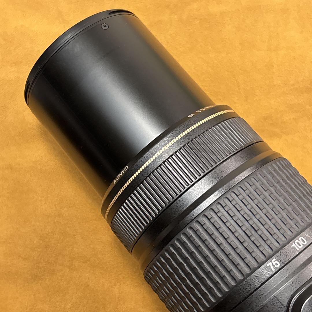 Canon EF 75-300mm IS USM 手振れ補正付き 望遠レンズ