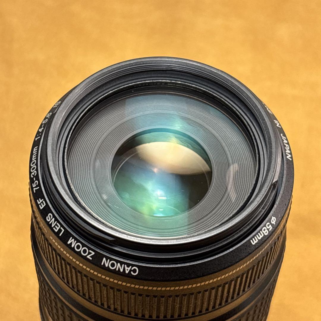 Canon EF 75-300mm IS USM 手振れ補正付き 望遠レンズ
