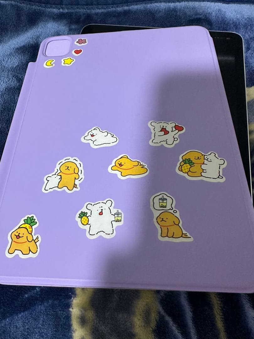 iPad Pro 11 第3世代 256GBとペンシル二代セト 【女性使用者】