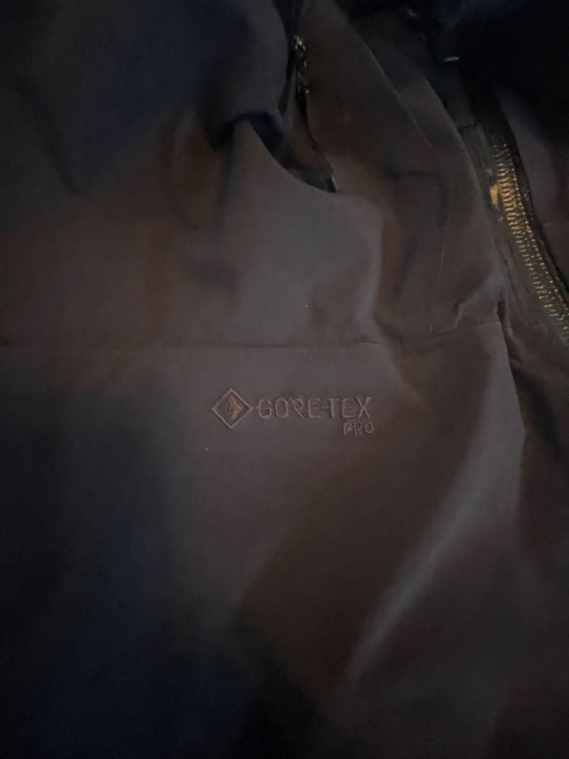 ARC'TERYX スティンガービブ Lサイズ　XL ビブパンツ　スキー