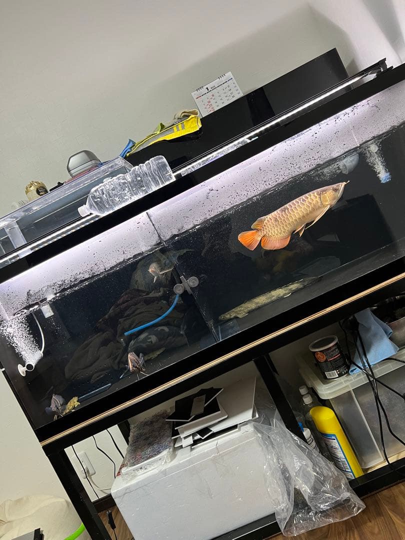 Raaai　　水槽台