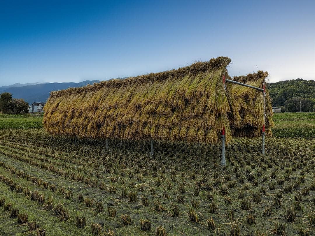 ローズマリー　こだわりのお米 20kgと米粉 1.5kg