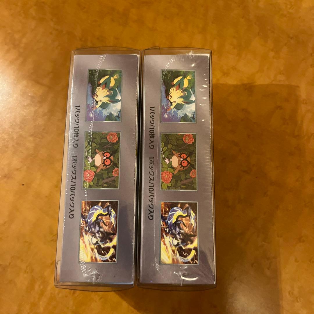 【新品未開封・シュリンク付きハードケース】テラスタルフェスEX 2個