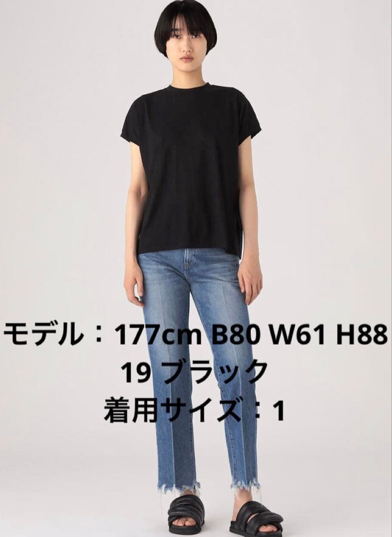 トゥモローランド別注 エイトンTシャツ ブラウン