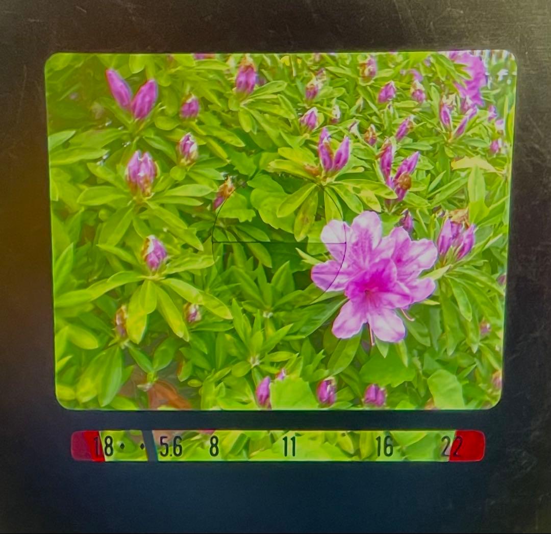 【８ミリカメラ】ELMO SOUND 6000AF