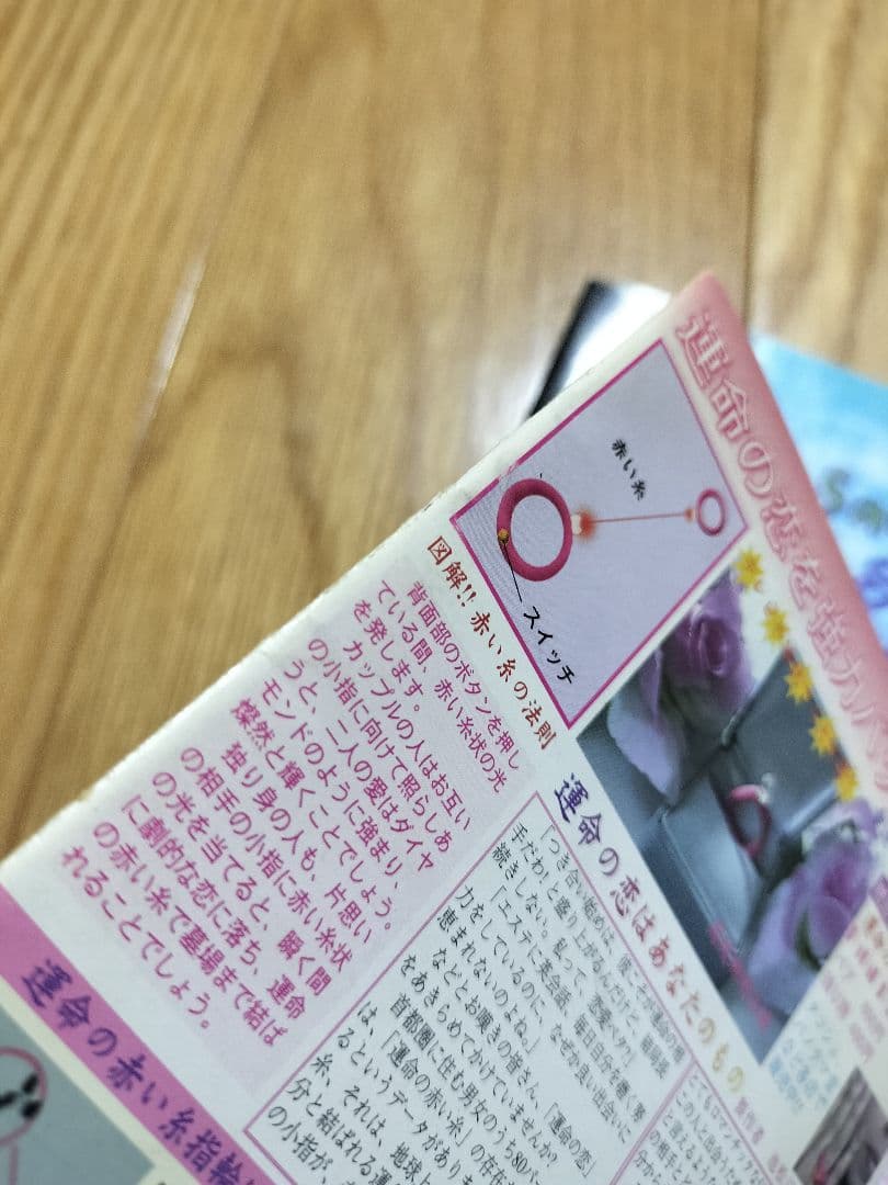 池松江美(辛酸なめ子)　自主制作本　グラビア中心/マンガ中心　2種セット