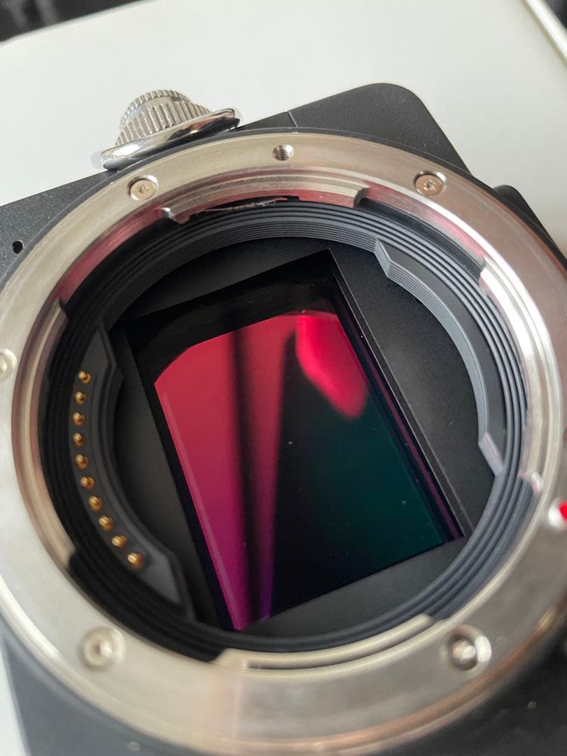 SIGMA fp ボディ 予備バッテリー2個・充電器付