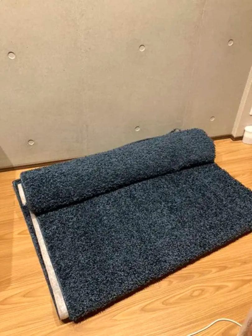 【売り切り】ニトリ カーペット ラグ ダニよけ・防炎カーペットエアープラス