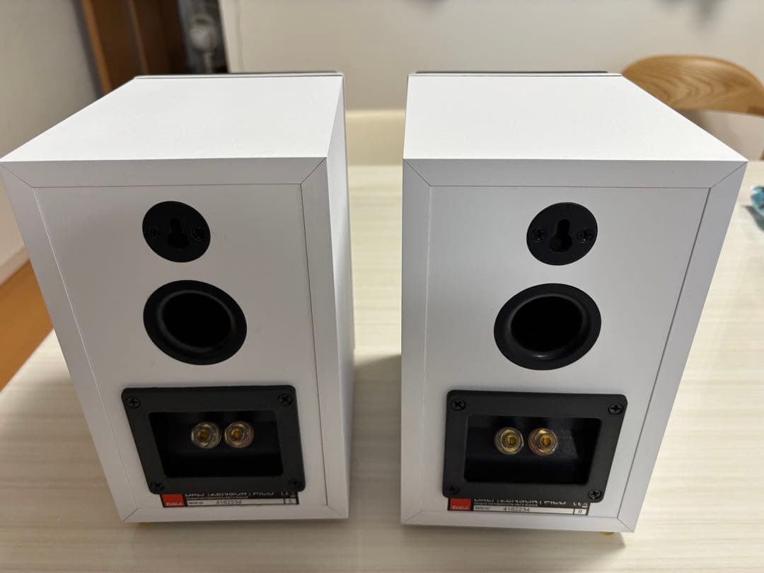 DALI ZENSOR PICO ホワイト スピーカー