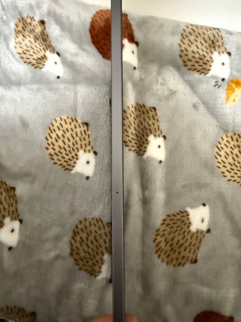 iPad Pro 2020（第二世代）128gb スペースグレー Wi-Fi