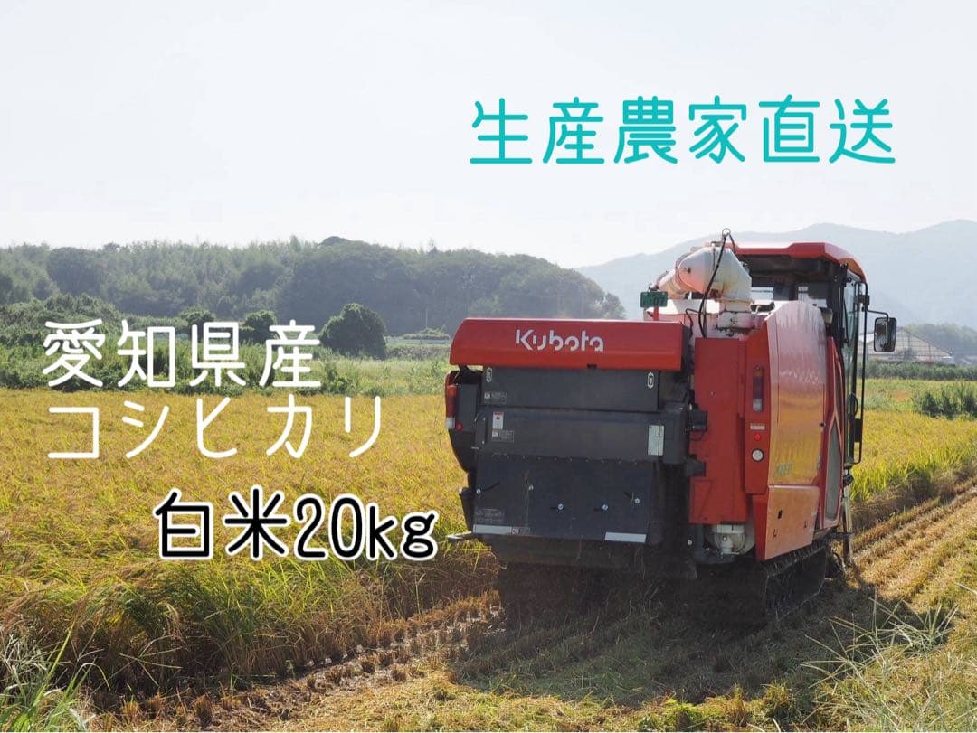 愛知県産 コシヒカリ 白米 20kg