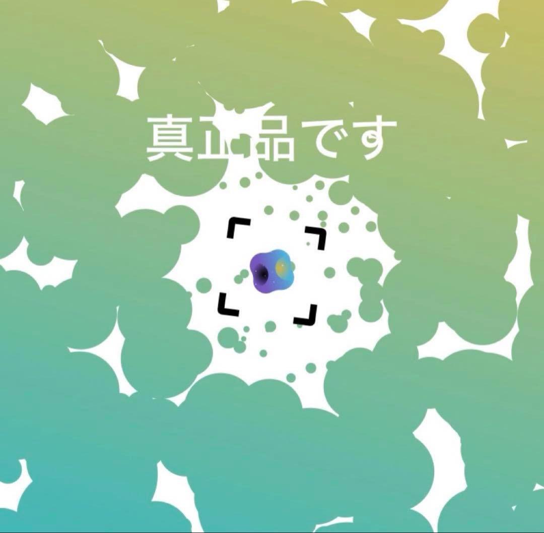 STONE  ダストスウェット 青