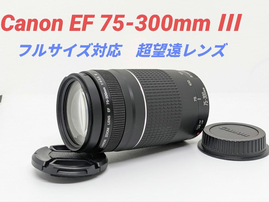 9月10日限定販売✨【超望遠レンズ】Canon EF 75-300mm Ⅲ