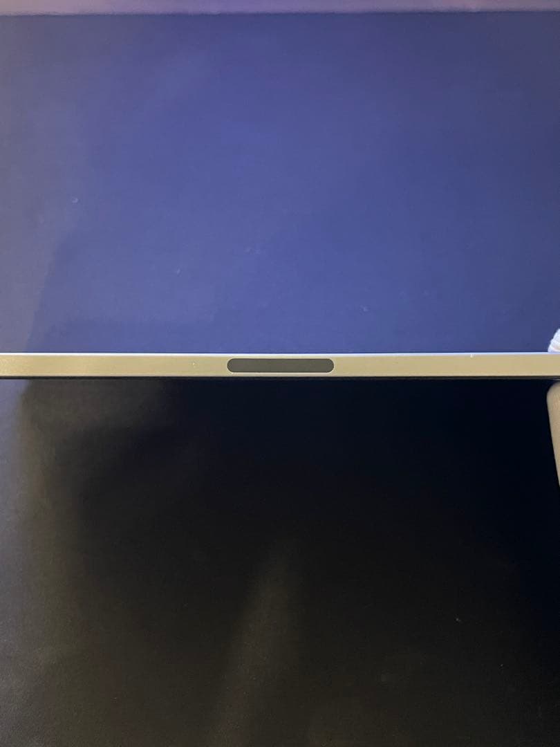 iPad Pro 11 （256GB）+ Apple Pencil 2 おまけ付